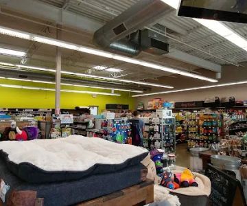 Unleashed by Petco