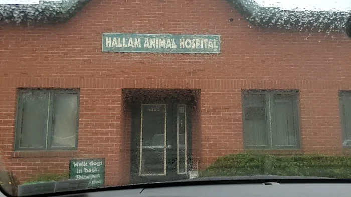 Hallam Animal Hospital 12