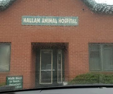 Hallam Animal Hospital