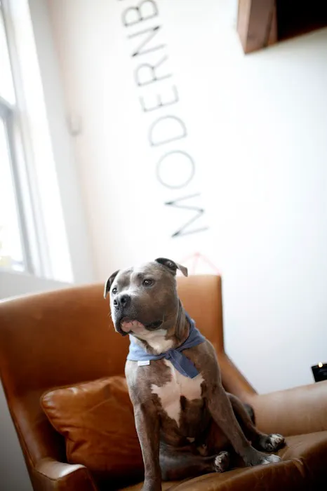 Modernbeast 12