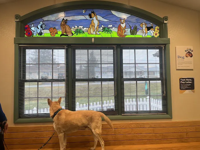 Animal Hospital of Rye 12