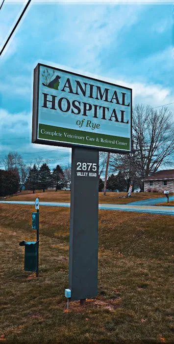 Animal Hospital of Rye 12