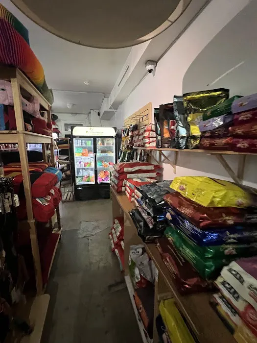 Bruno's Dog & Cat Boutique 12