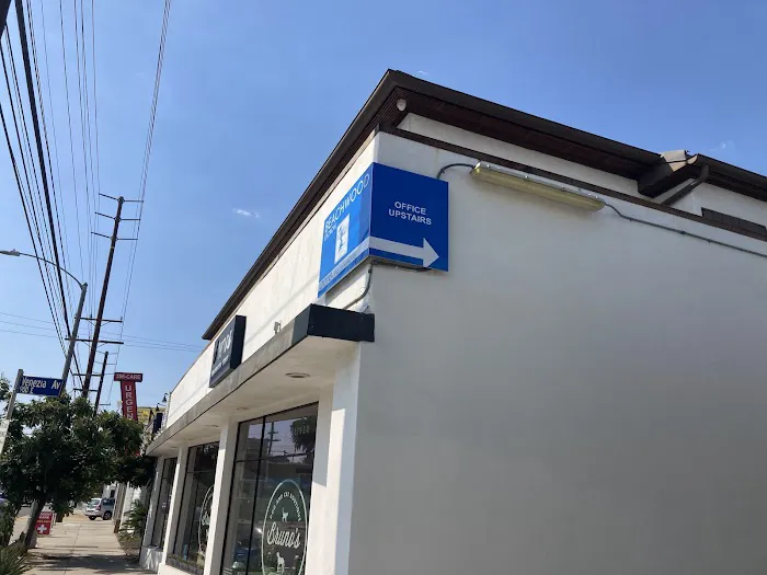 Bruno's Dog & Cat Boutique 12