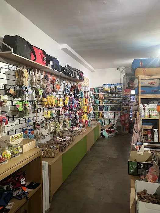 Bruno's Dog & Cat Boutique 12