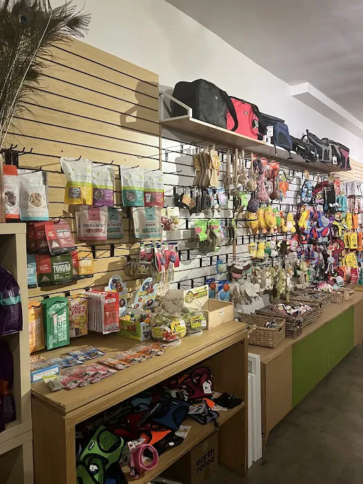 Bruno's Dog & Cat Boutique 12