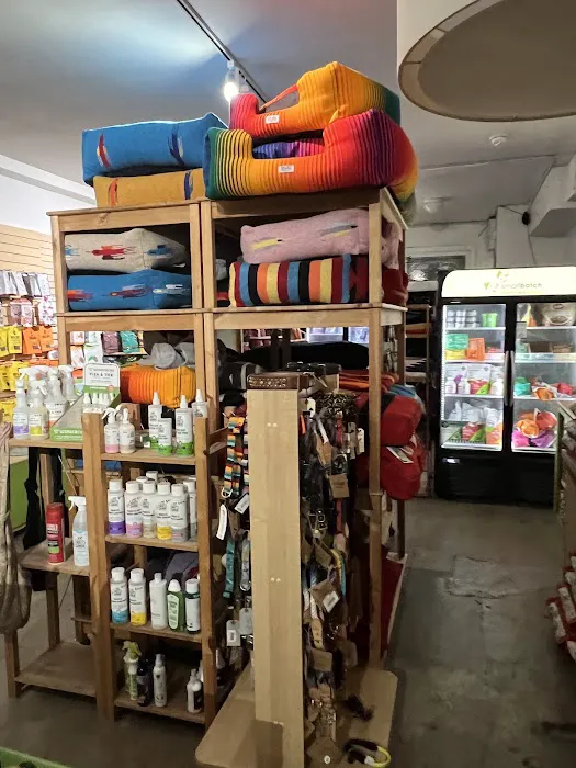 Bruno's Dog & Cat Boutique 12