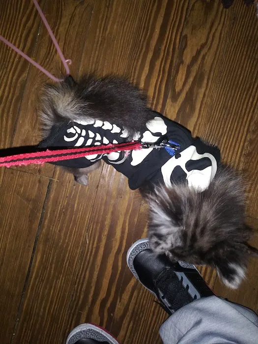 Apple Creek Veterinary Hospital 12