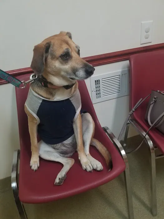 Apple Creek Veterinary Hospital 12