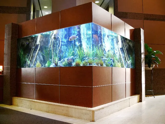 Living Art Aquatic Design, Inc. 12