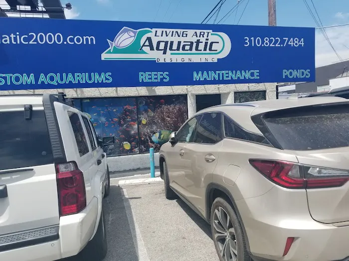 Living Art Aquatic Design, Inc. 12