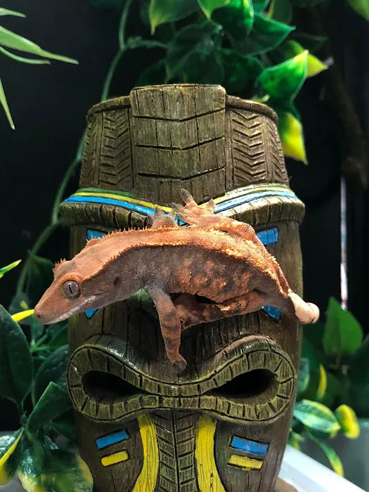Allan's Pet Center - West LA 12