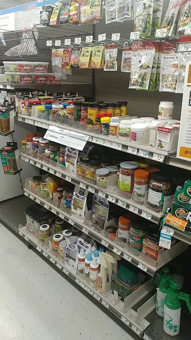 Petco 12