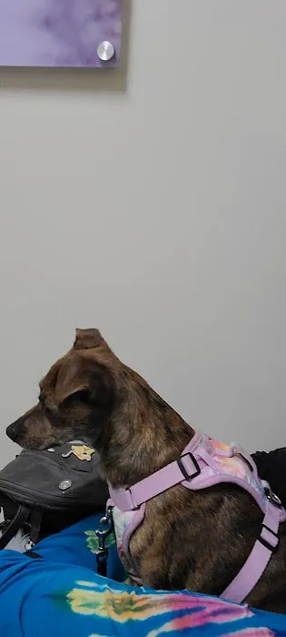 Petco 12