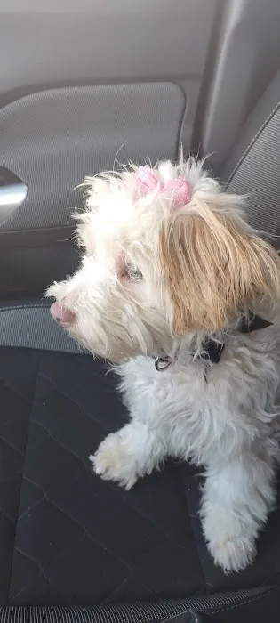 Petco 12