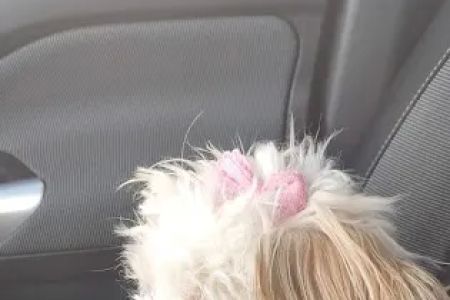 Petco