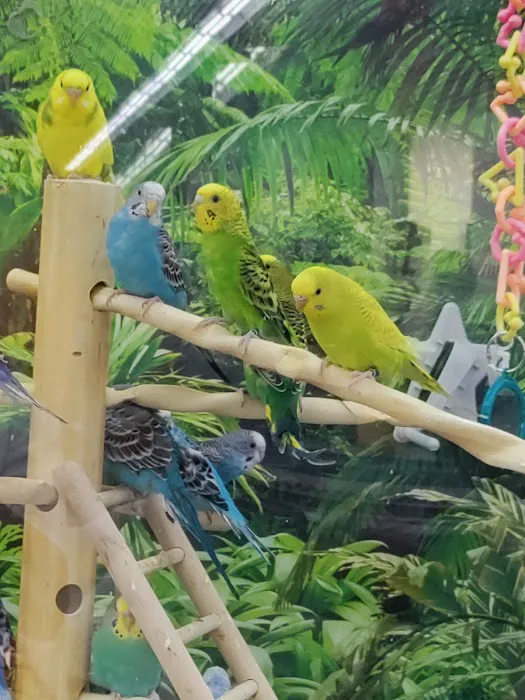 Petco 12
