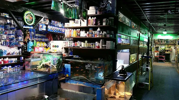 7 Seas Tropical Fish 12