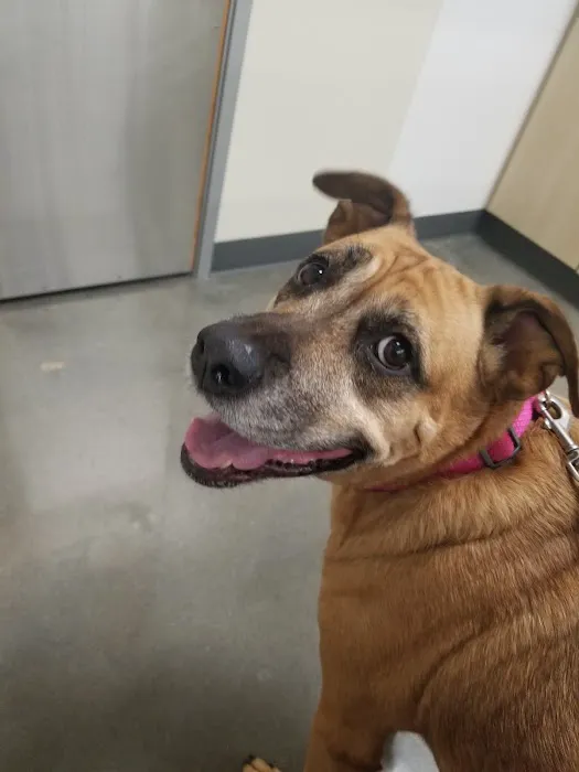 Vetco Total Care Animal Hospital 1