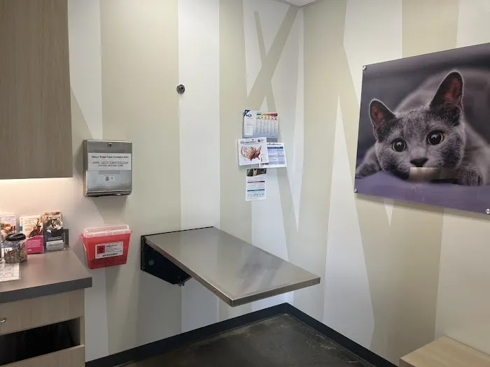 Vetco Total Care Animal Hospital 10