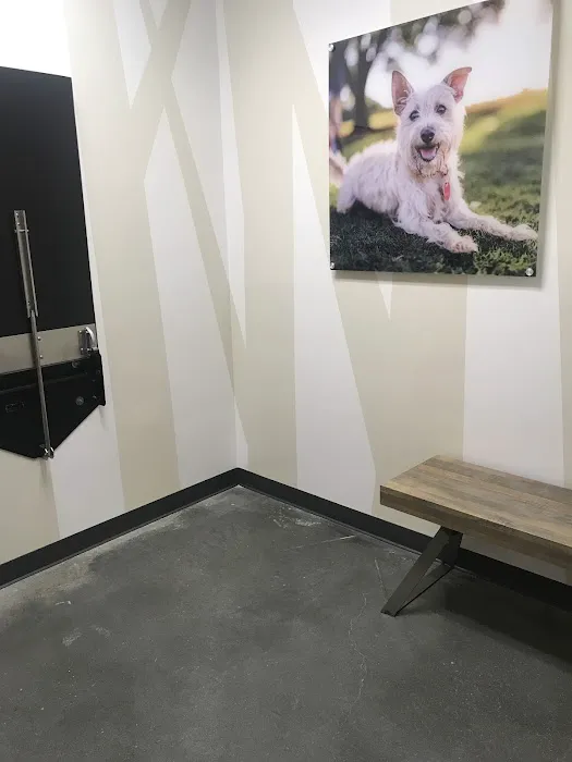 Vetco Total Care Animal Hospital 6