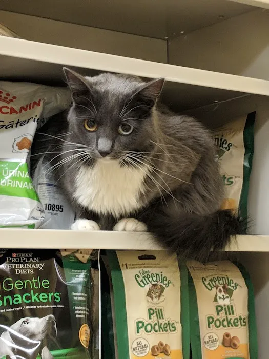 Southern Paws Animal Hospital 12