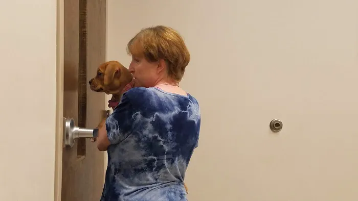 Palmetto Veterinary Medicine and Surgery-ROCK HILL 1