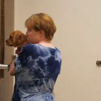 Palmetto Veterinary Medicine and Surgery-ROCK HILL ico