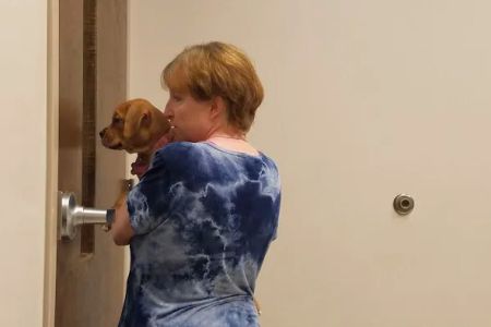 Palmetto Veterinary Medicine and Surgery-ROCK HILL