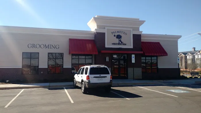Palmetto Veterinary Medicine and Surgery-ROCK HILL 3