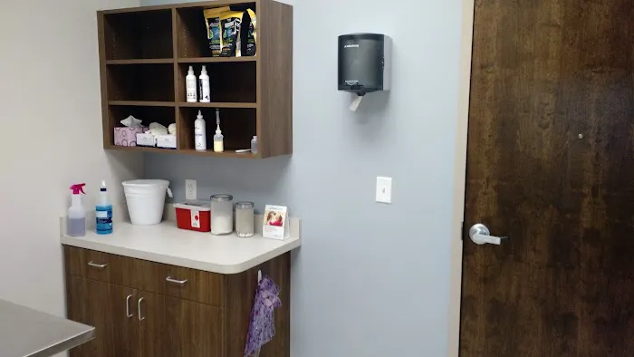 Palmetto Veterinary Medicine and Surgery-ROCK HILL 4
