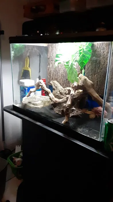 REPTILE FACTORY 2