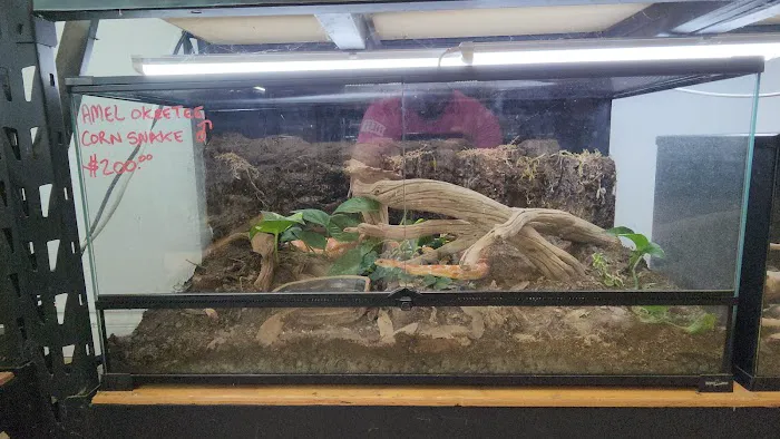 REPTILE FACTORY 5