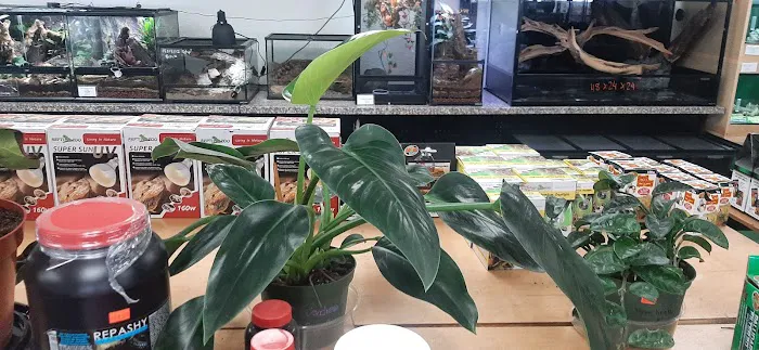 REPTILE FACTORY 4