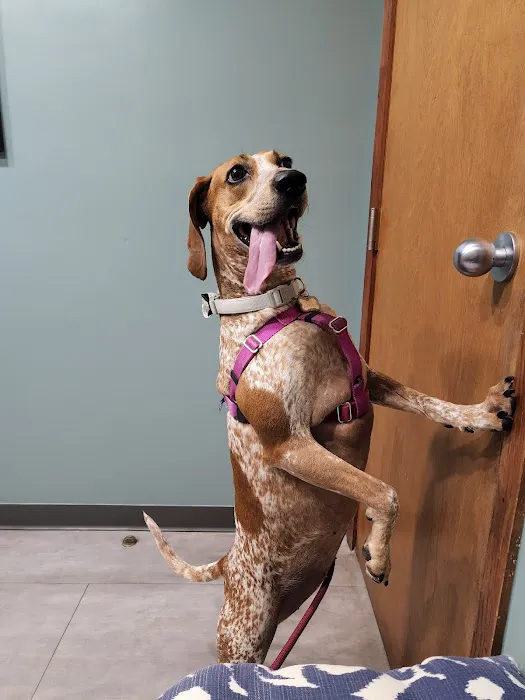 Catawba Animal Clinic 12