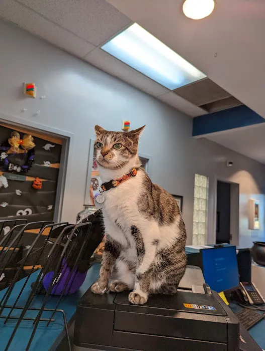 Ebenezer Animal Hospital 12