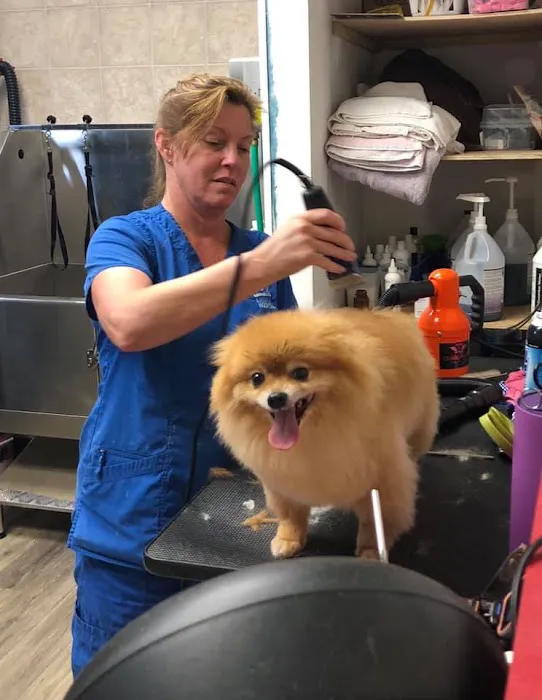 Ebenezer Animal Hospital 12