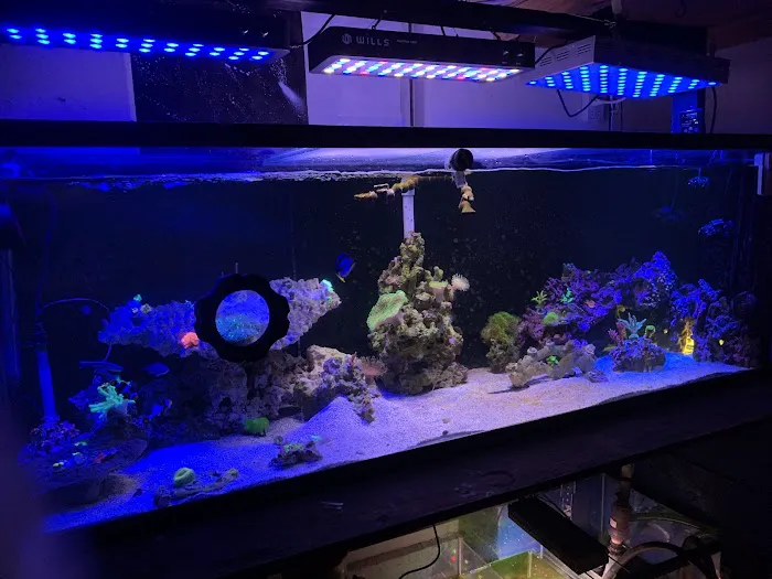 theaquariumservice.com 12