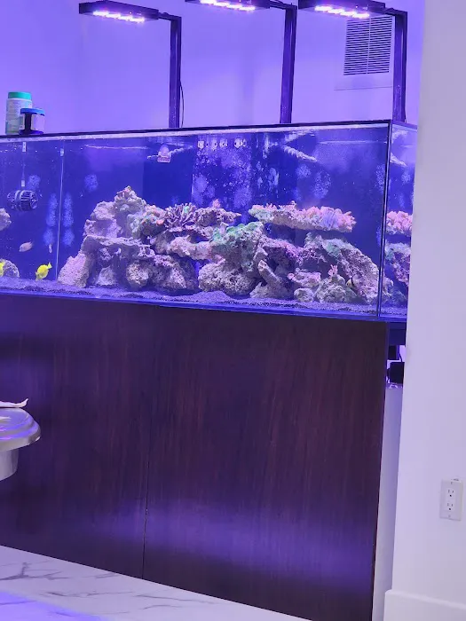 theaquariumservice.com 12