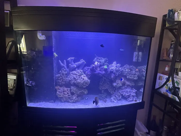 theaquariumservice.com 12