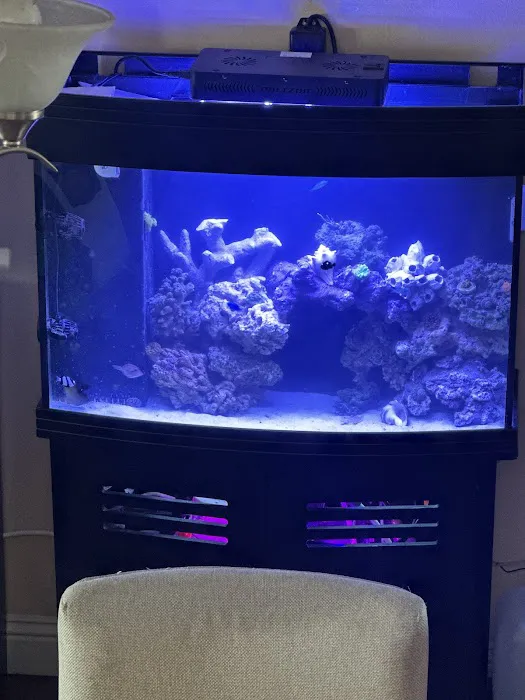 theaquariumservice.com 12