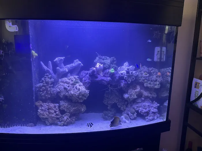 theaquariumservice.com 12