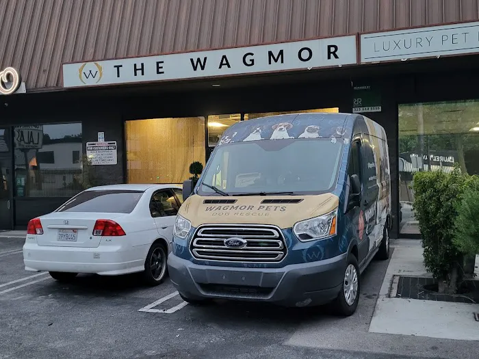 Wagmor Pets 12