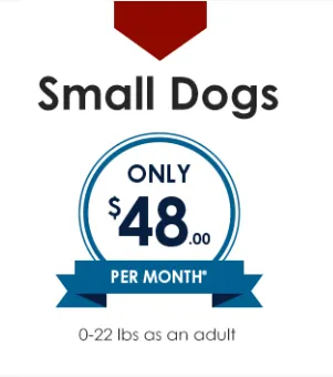 Providence South Animal Hospital 4