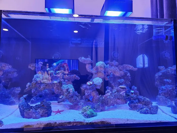 Salty Life Aquarium Service 12