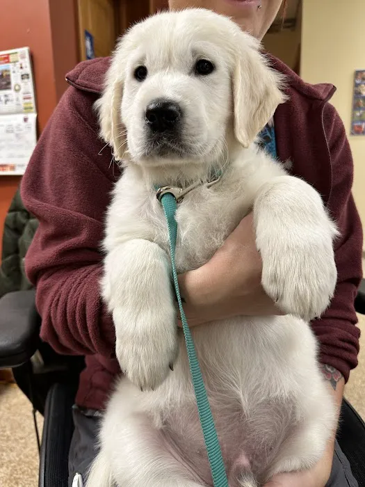 Richfield Area Pet Clinic 1