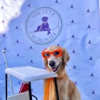 Society Hounds ico