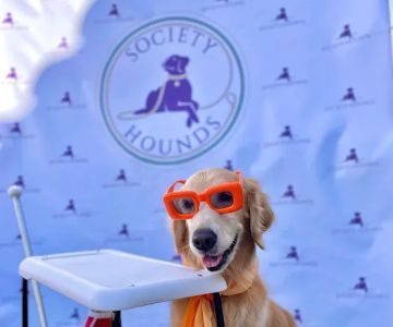 Society Hounds