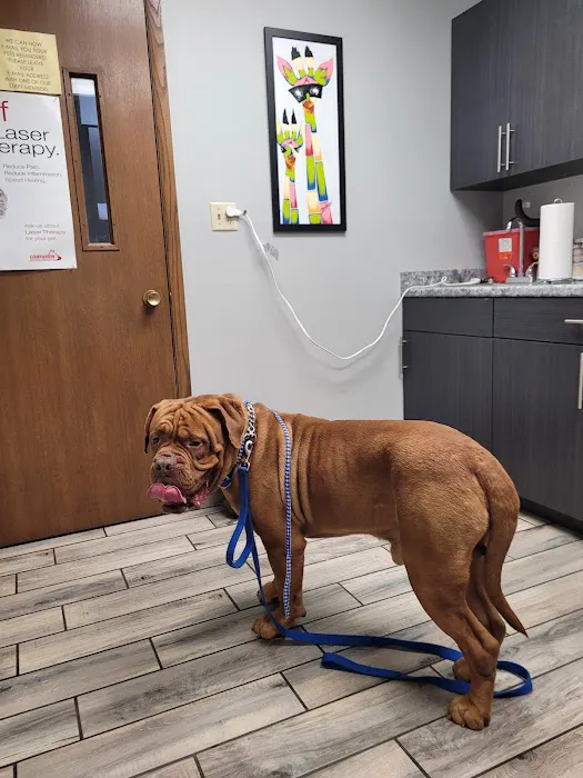 Brown Deer Animal Hospital LLC 12