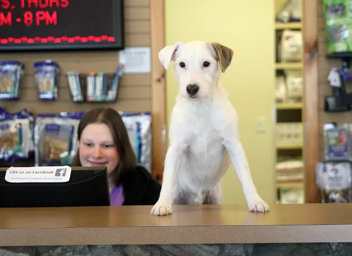 Haslett Animal Hospital 9